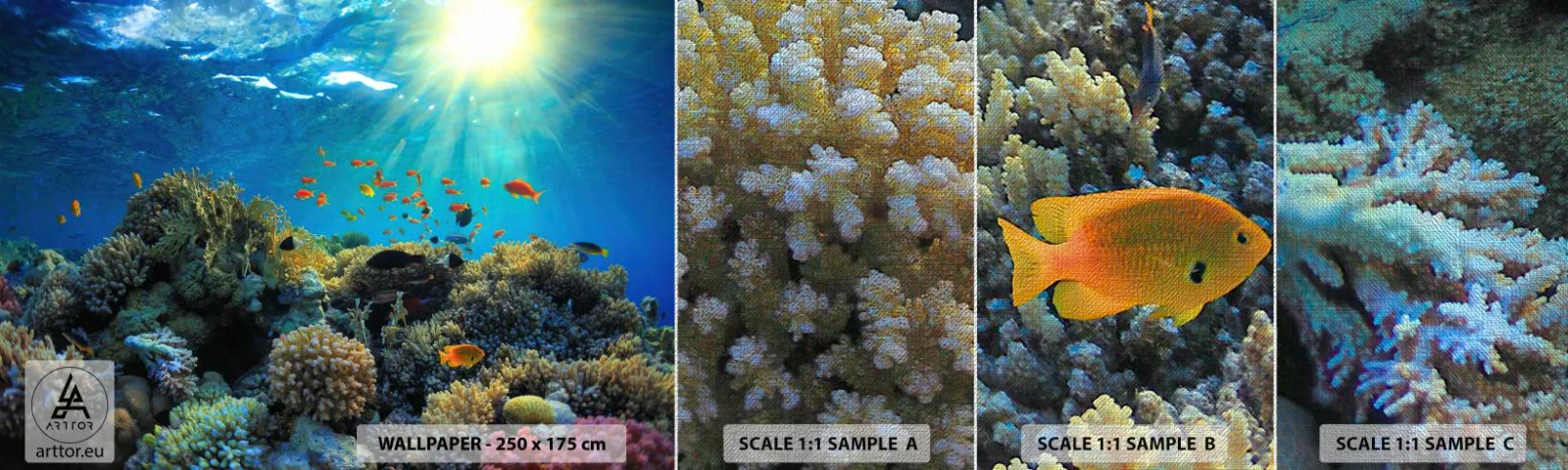 Fotobehang Monster Premium Canvas - Onderwater schatten - koraalrif, Oceaan, Maritiem - 100x30 cm