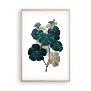 Een poster in een licht eiken lijst - Uit het oude herbarium - 61x91 cm