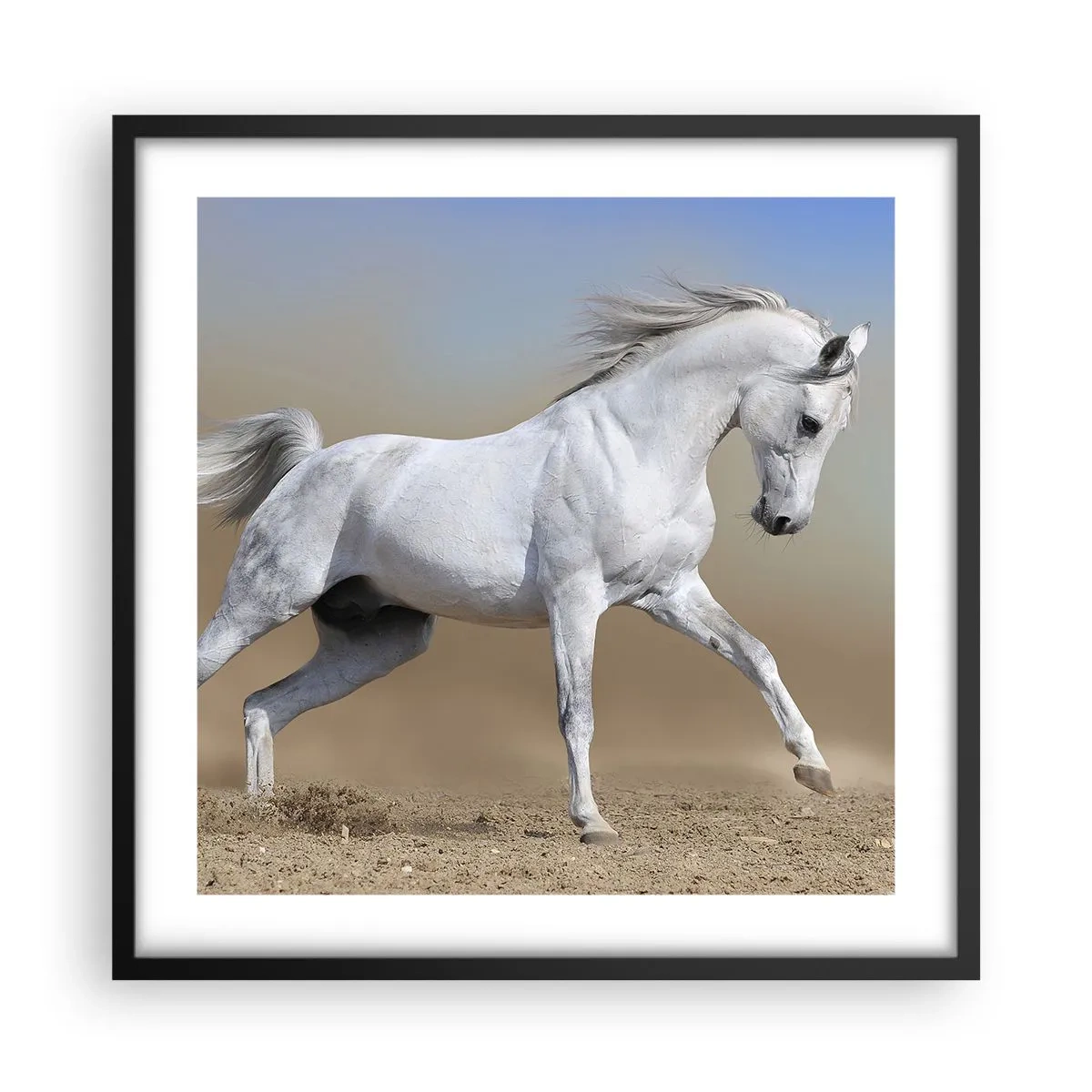 Poster in een zwarte lijst - Het mooiste Arabische sprookje - 50x50 cm