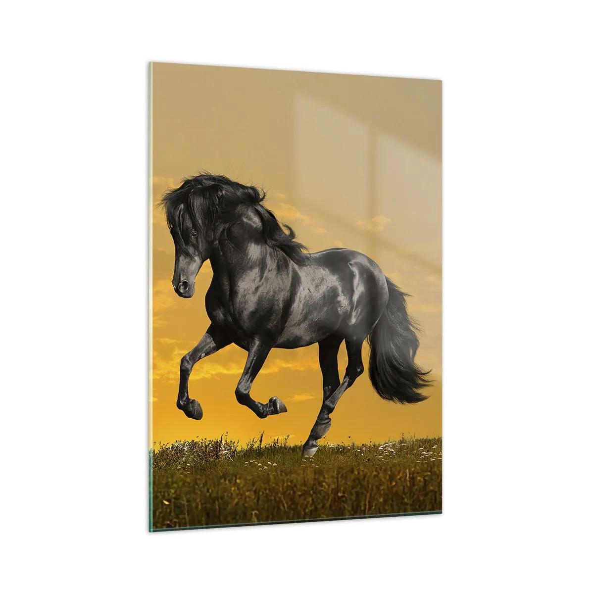 Schilderen op glas - Mooi, vrij en wild - 50x70 cm