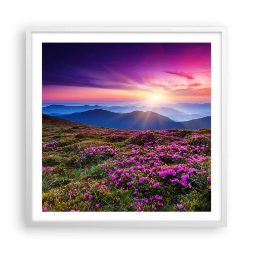 Poster in een witte lijst - Kruiden roken naar verse trossen van de velden - 60x60 cm