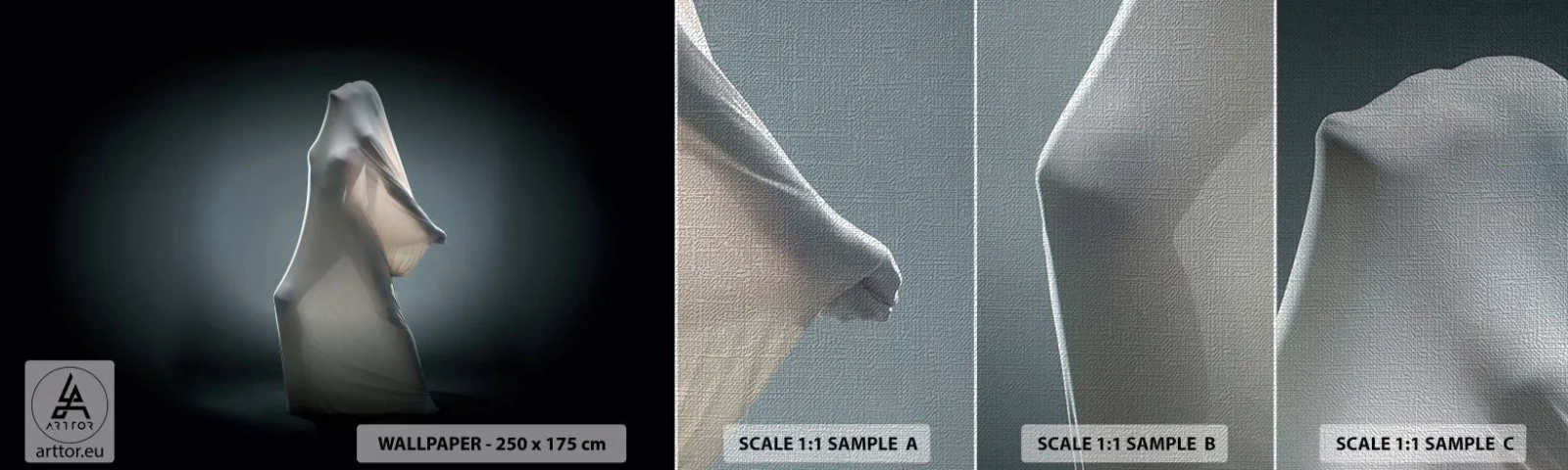 Fotobehang Monster Premium Canvas - Verborgen verlangens - Vrouw, Dans, Deel - 100x30 cm