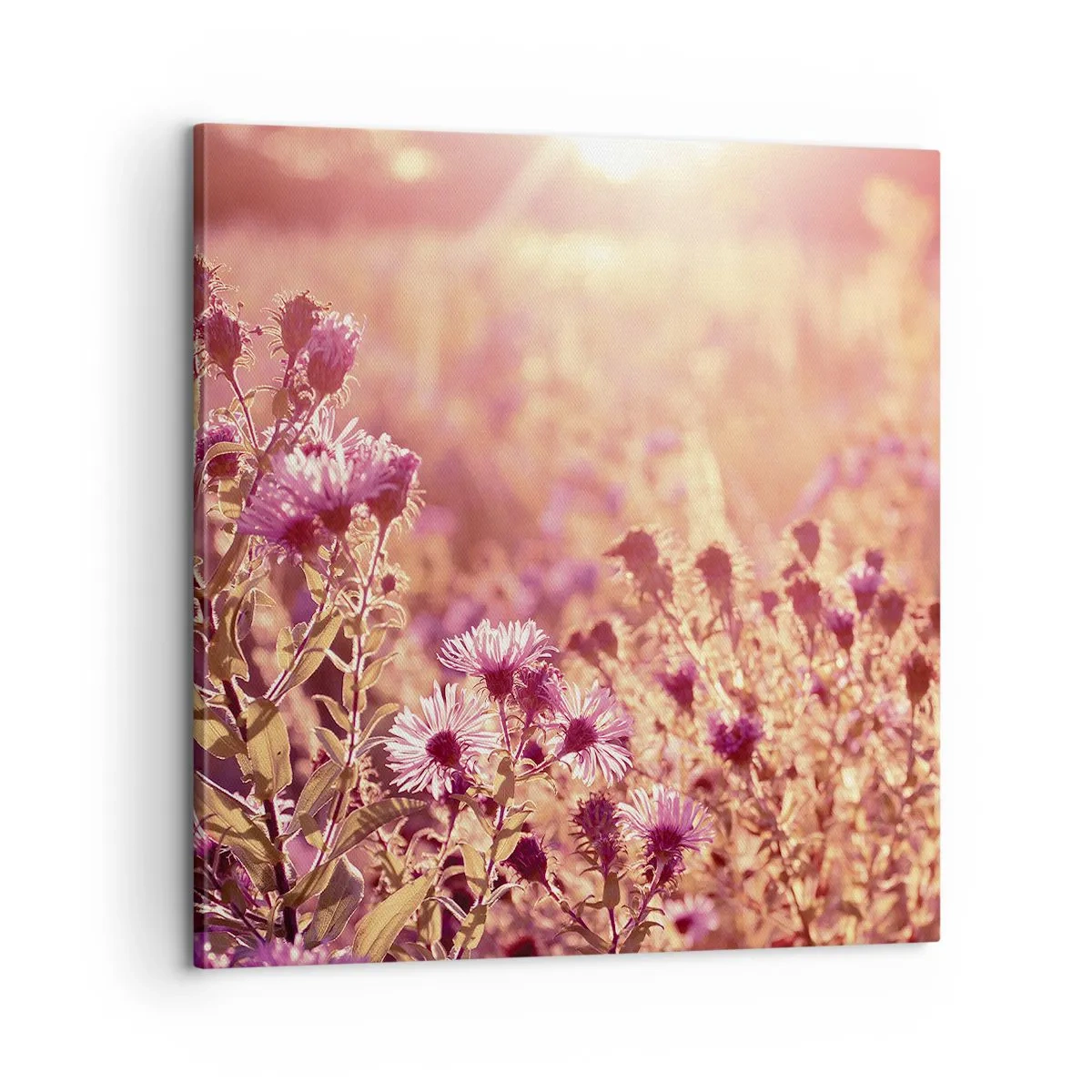 Schilderen op canvas - Voordat de zomer voorbij is - 60x60 cm