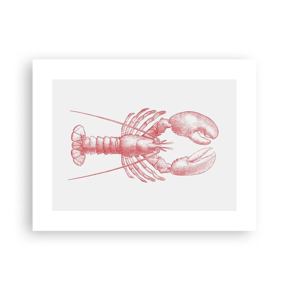Poster - Een kreeft waardig Homer - 40x30 cm
