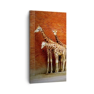 Schilderen op canvas - Zie je acacia? - 45x80 cm