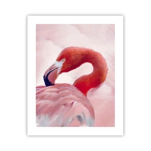 Poster - Vogel schoonheid - 40x50 cm