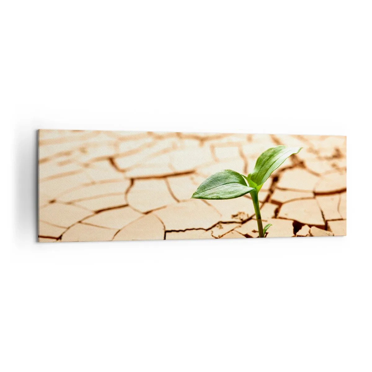 Schilderen op canvas - De ontembare kracht van het leven - 160x50 cm