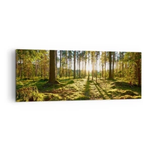 Schilderen op canvas - … Achter de zeven bossen - 140x50 cm