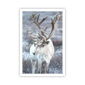 Poster - Portret in de zon - 61x91 cm