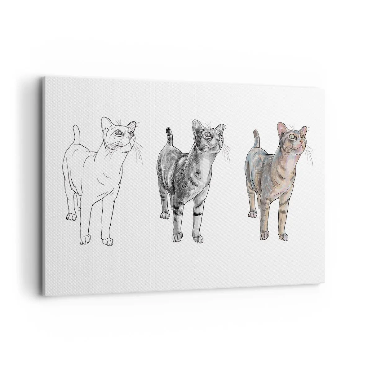 Schilderen op canvas - Les tekenen - 120x80 cm