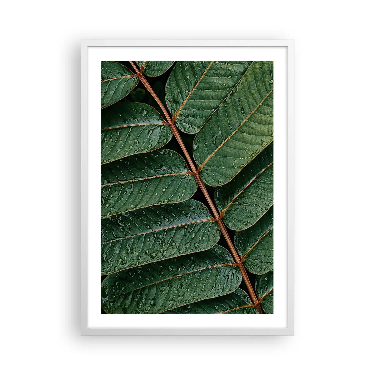 Poster in een witte lijst - In een groen ritme - 50x70 cm