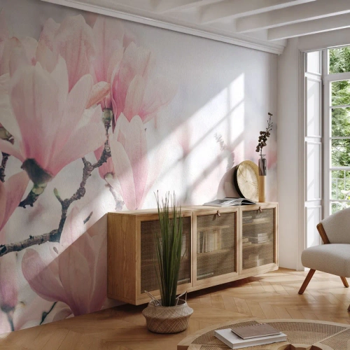 Fotobehang Premium Sand - Het ideaal van subtiliteit - Magnolia, Bloemen, Magnoliaboom - 250x175 cm