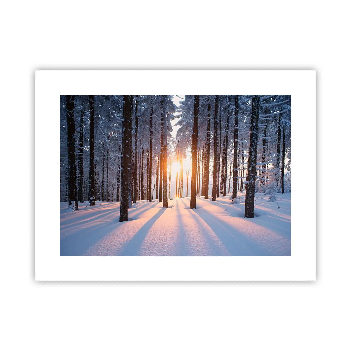 Poster - Duidelijk in zwart-wit - 40x30 cm