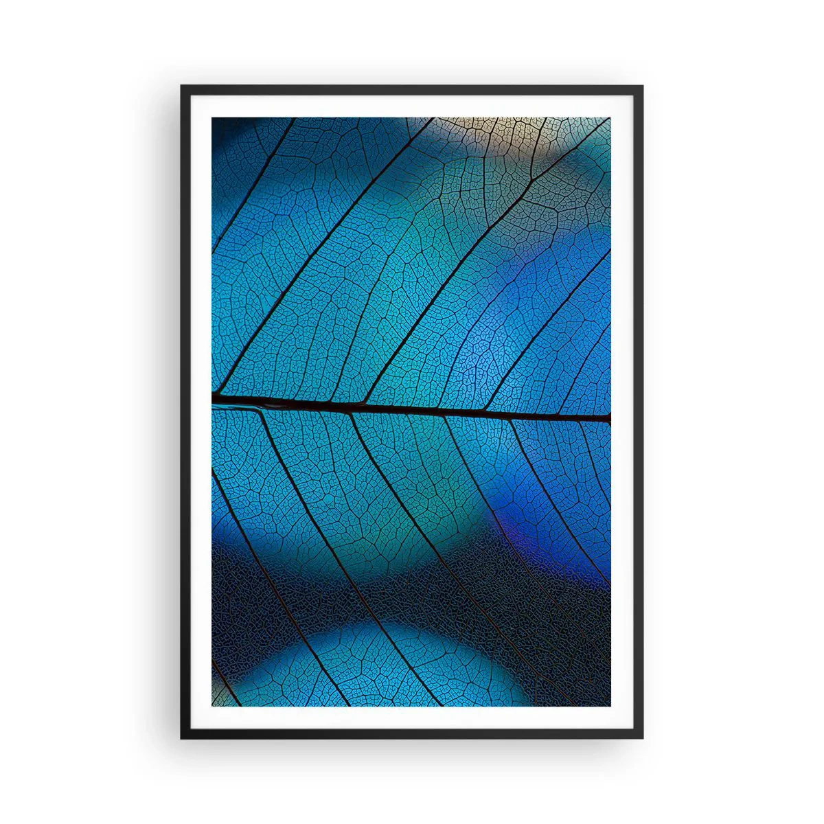 Poster in een zwarte lijst - Ingewikkelde constructie - 70x100 cm