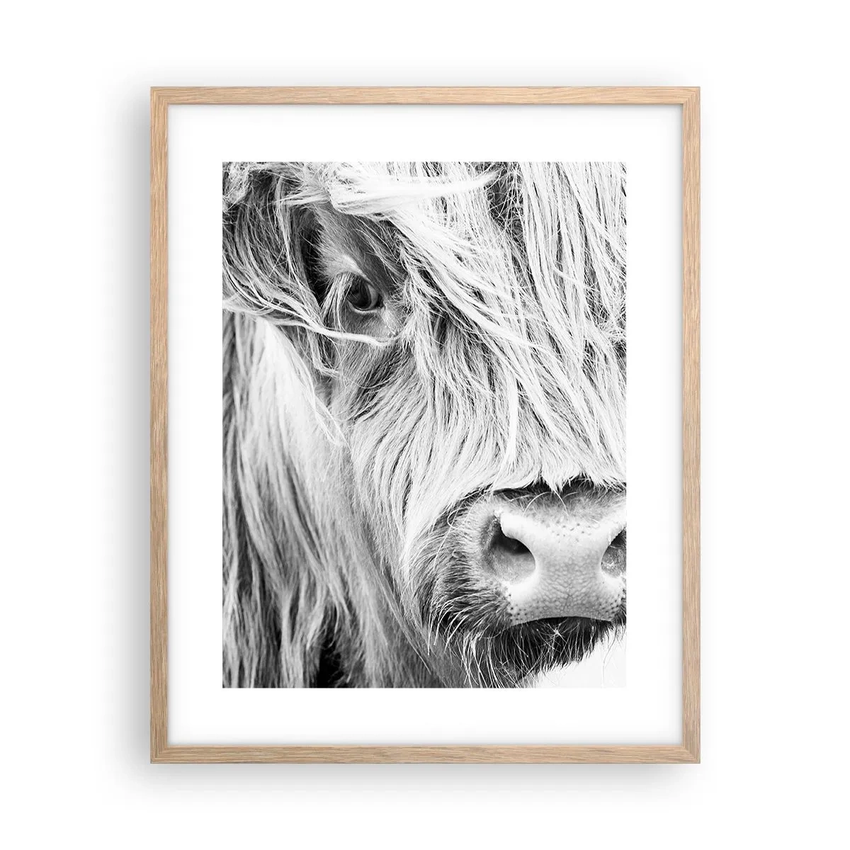 Een poster in een licht eiken lijst - Schotse wildheid - 40x50 cm