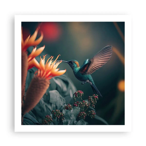 Poster - een werkelijk kleurrijk leven - 60x60 cm