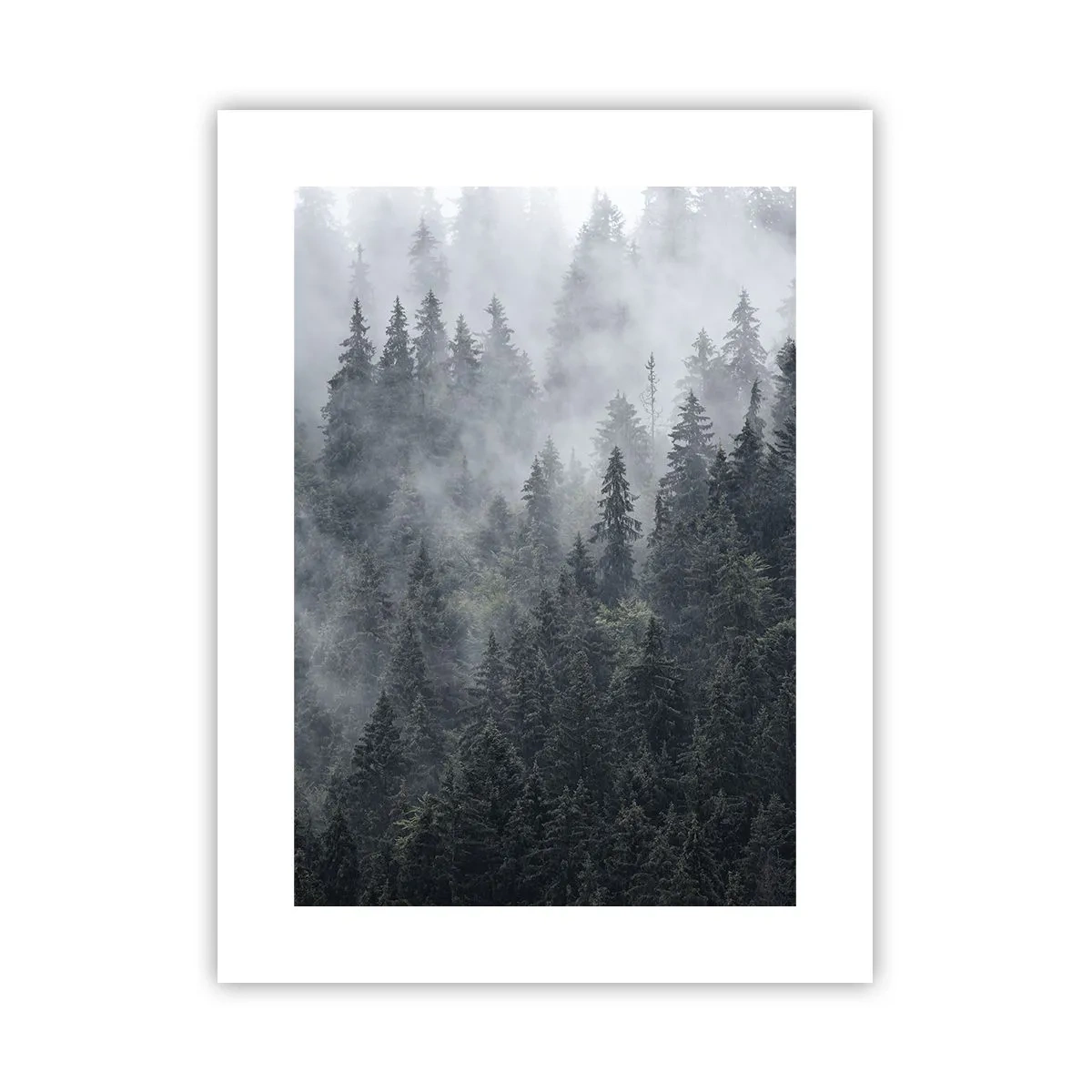 Poster - Bos dageraad - 30x40 cm