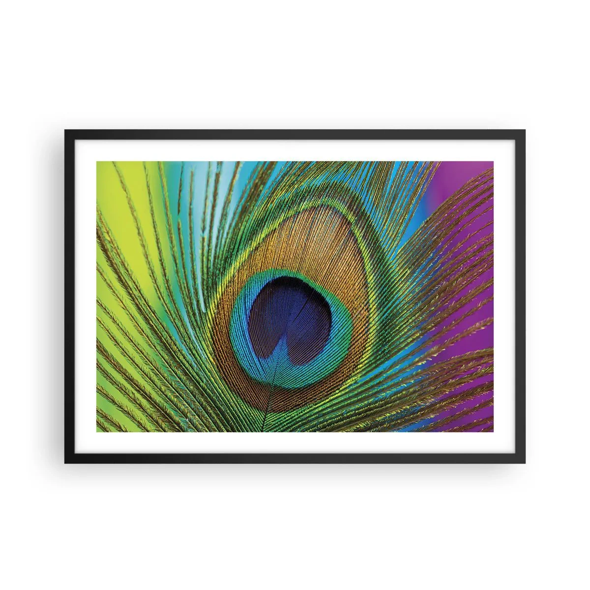 Poster in een zwarte lijst - Oog in oog - 70x50 cm