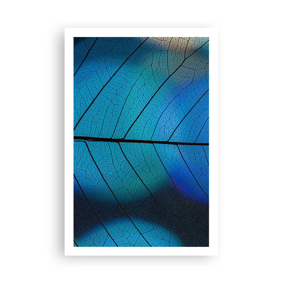 Poster - Ingewikkelde constructie - 61x91 cm