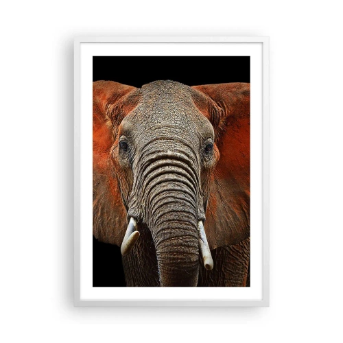 Poster in een witte lijst - Ik ben wild, en jij? - 50x70 cm