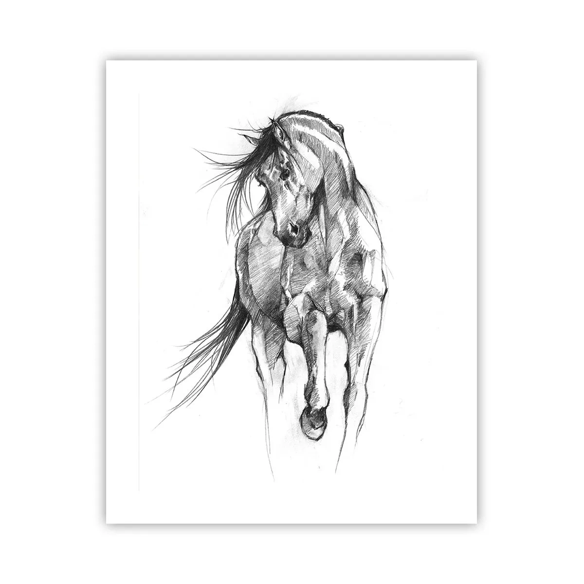 Poster - In een sierlijke draf - 40x50 cm