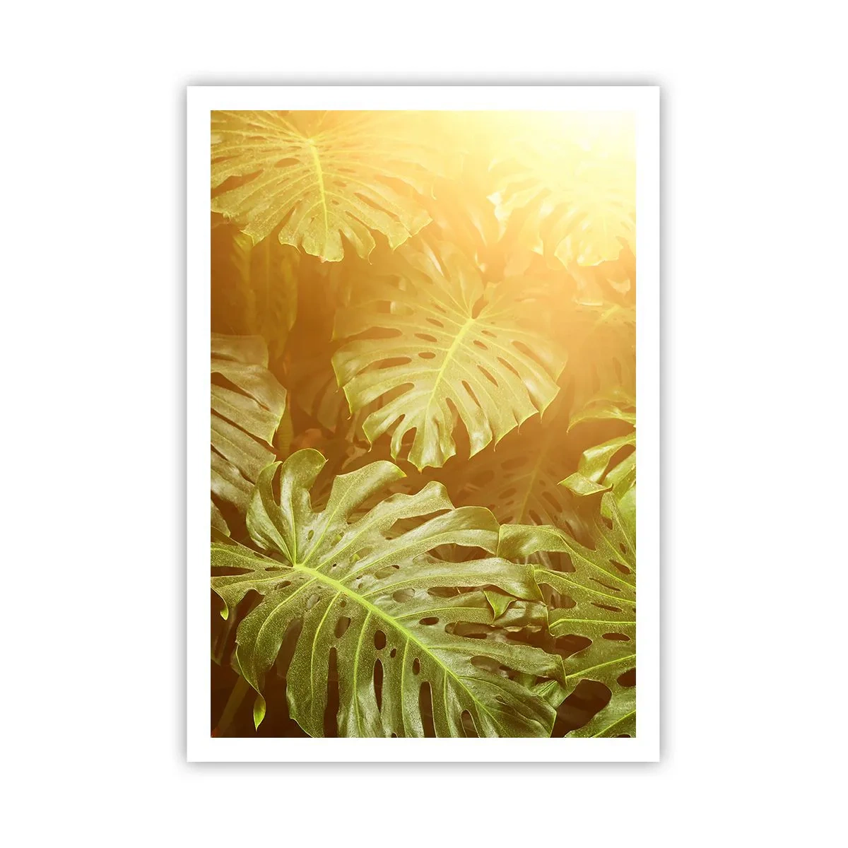 Poster - In het groen treden... - 70x100 cm