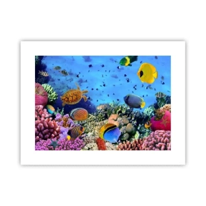 Poster - En wat weten we over het leven... - 40x30 cm