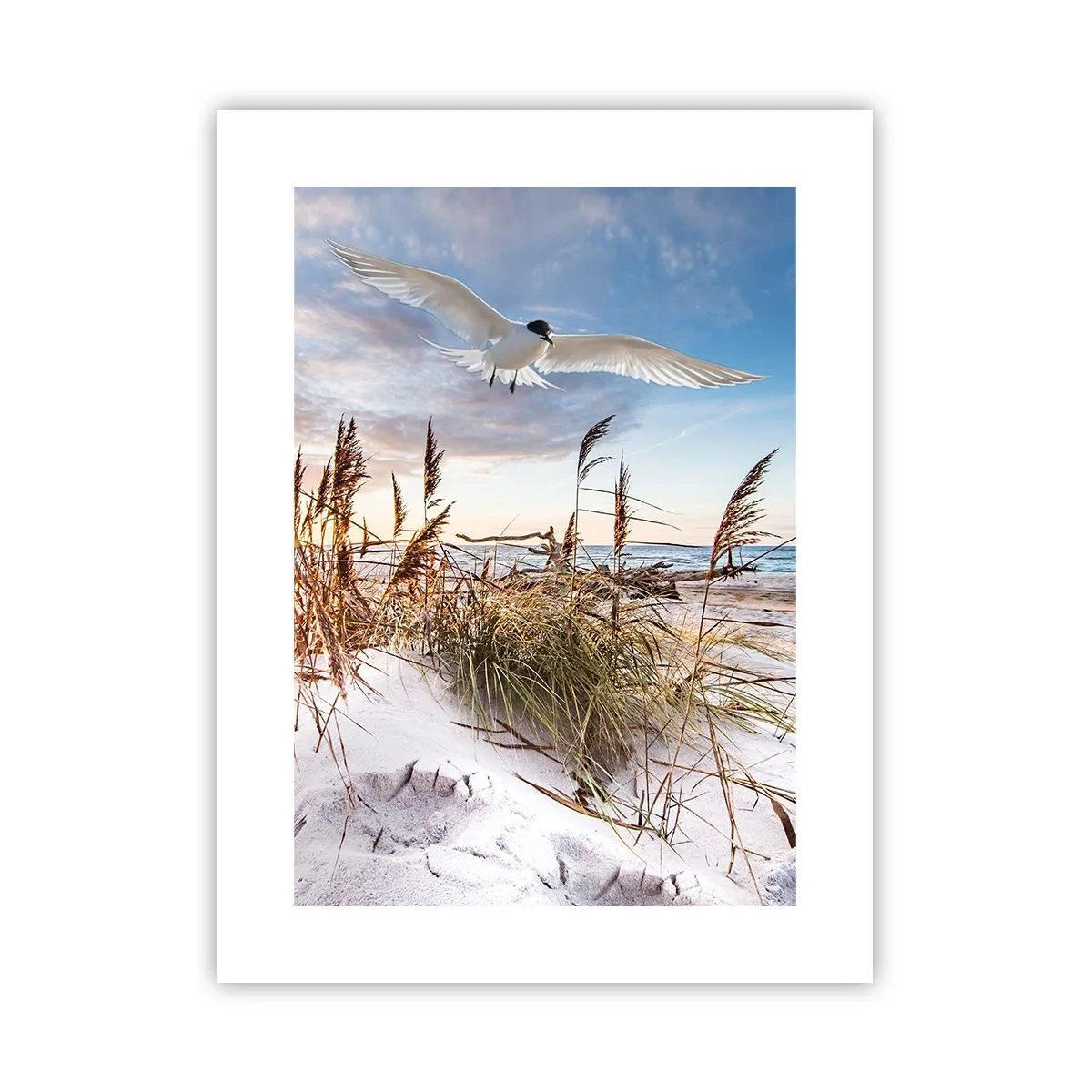 Poster - Wind uit zee - 30x40 cm