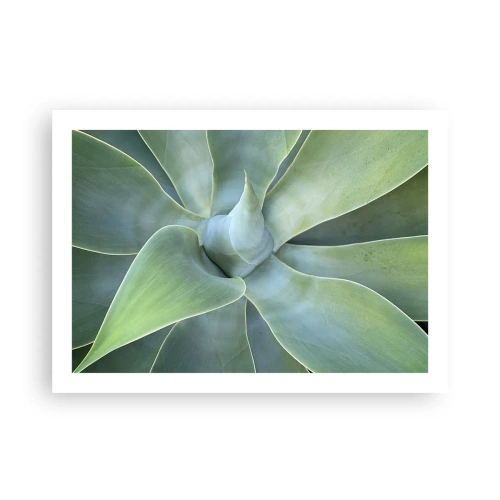 Poster - De geboorte van groen - 70x50 cm