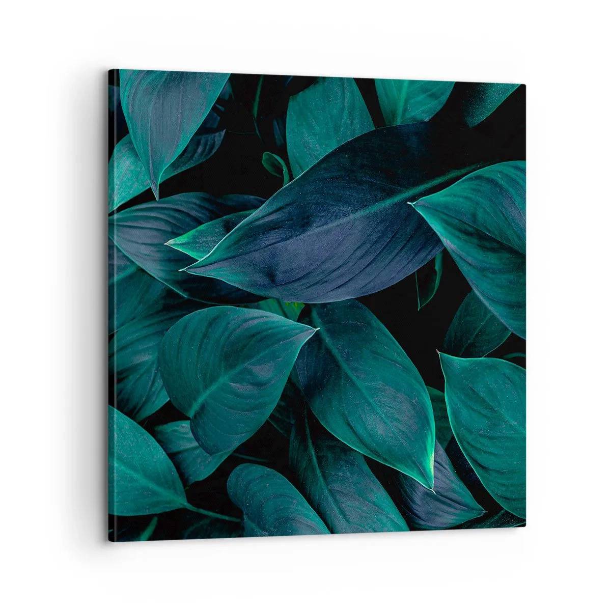 Schilderen op canvas - Groen op zichzelf - 60x60 cm