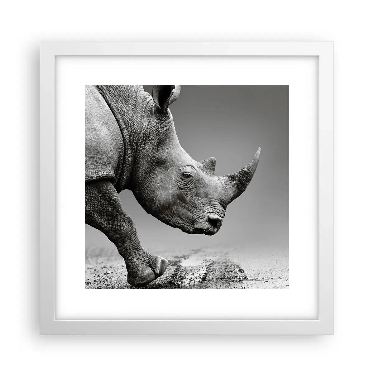 Poster in een witte lijst - Onstuitbare kracht - 30x30 cm