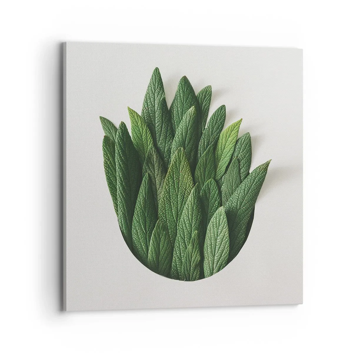 Schilderen op canvas - Ongebreidelde nieuwsgierigheid - 70x70 cm