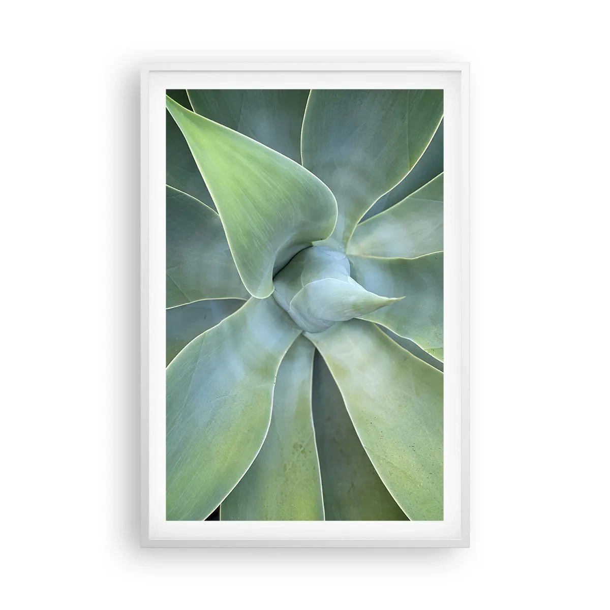 Poster in een witte lijst - De geboorte van groen - 61x91 cm