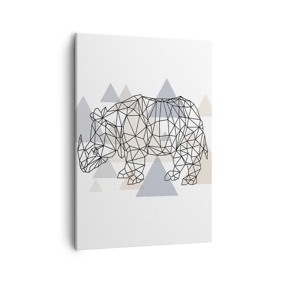 Schilderen op canvas - Structuur van kracht - 50x70 cm