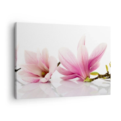 Schilderen op canvas - Delicate roze magnolia's op een witte achtergrond - 70x50cm - Delicaat als een lentebriesje - Moderne wanddecoratie voor woonkamer en slaapkamer ARTTOR