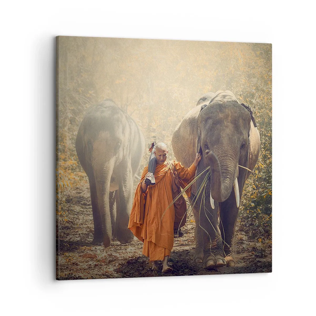 Schilderen op canvas - Volledig begrip - 50x50 cm