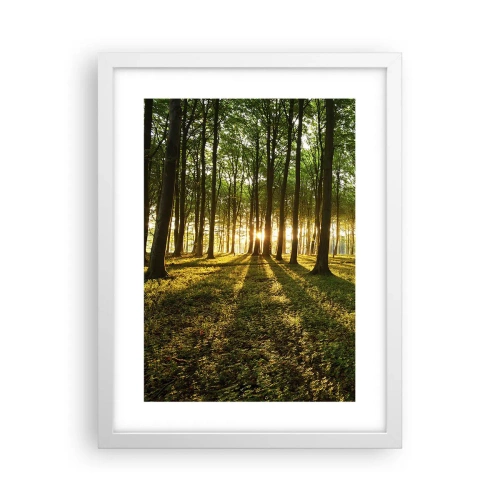 Poster in een witte lijst - Foto van de hele lente - 30x40 cm