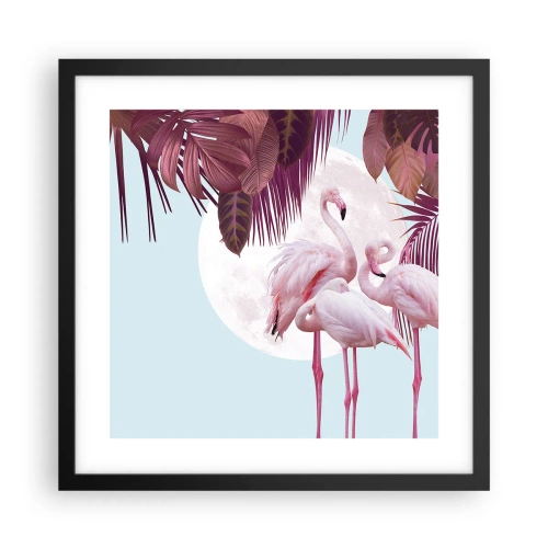 Poster in een zwarte lijst - Drie vogel genaden - 40x40 cm