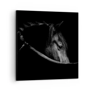 Schilderen op canvas - Zwarte Prins - 60x60 cm