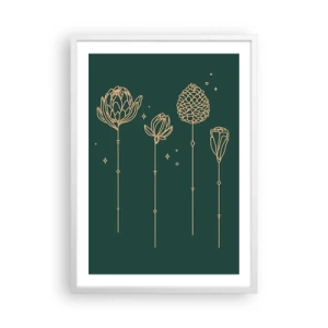 Poster in een witte lijst - Kruidenfamiie / Familie Ziółkowsi ?? - 50x70 cm