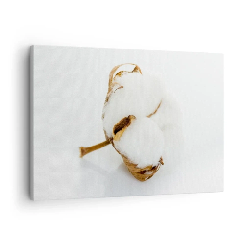 Schilderen op canvas - Een tak katoen op een lichte achtergrond in een minimalistische benadering - 70x50cm - Zacht van aard - Moderne wanddecoratie voor woonkamer en slaapkamer ARTTOR