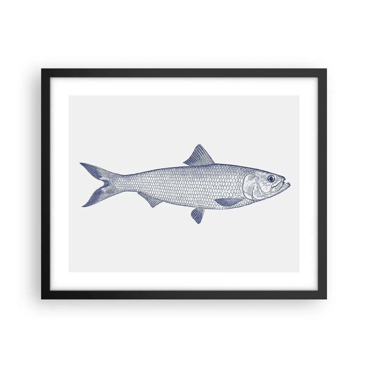 Poster in een zwarte lijst - Groeten uit de noordelijke zeeën - 50x40 cm