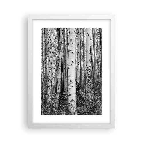 Poster in een witte lijst - Berken colonnade - 30x40 cm