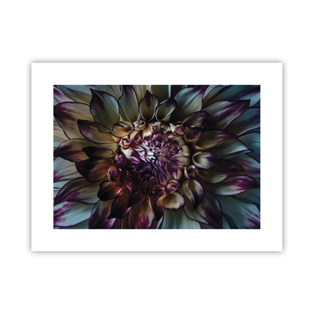 Poster - De hoogtijdagen van de jeugd - 40x30 cm