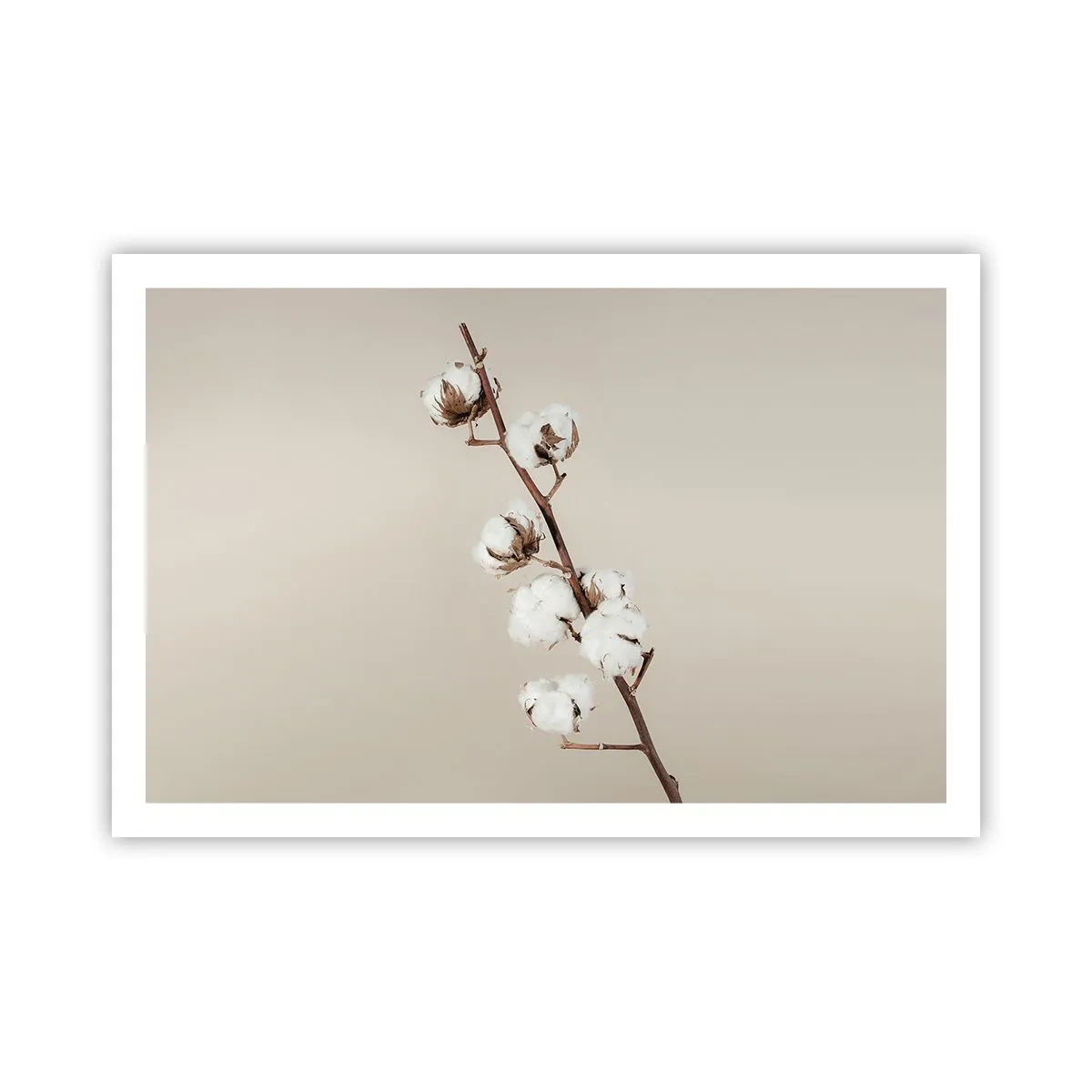 Poster - Aan de bron van zachtheid - 91x61 cm