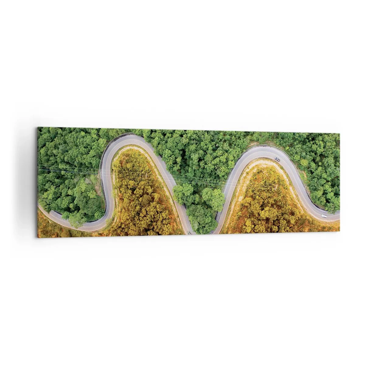 Schilderen op canvas - Grenzen en doorbraken - 160x50 cm