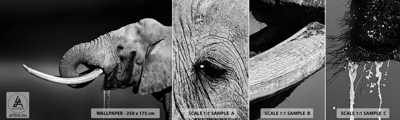Fotobehang Monster Premium Canvas - Ja, goed nu - Dieren, Olifant, Afrika - 100x30 cm