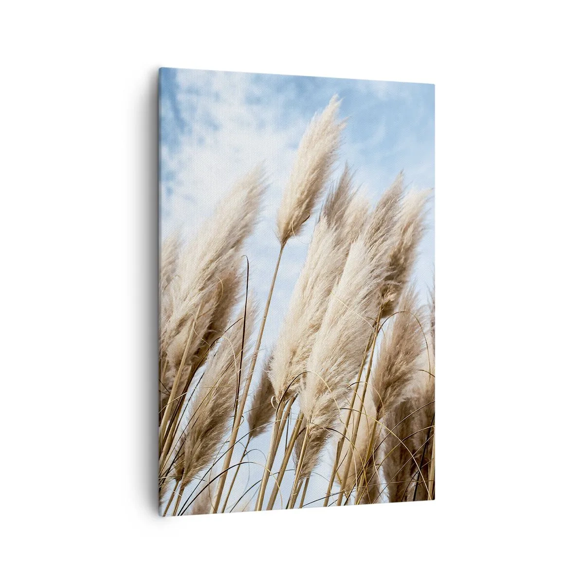 Schilderen op canvas - Zonnige en winderige streling - 70x100 cm