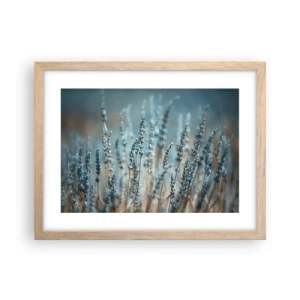 Een poster in een licht eiken lijst - Geurig korenveld - 40x30 cm