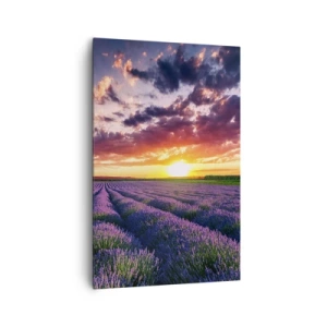 Schilderen op canvas - Lavendel wereld - 80x120 cm